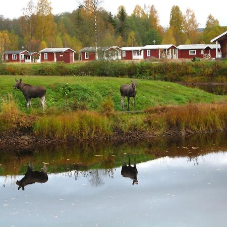Klaraelvens Camping Stöllet Habitación foto